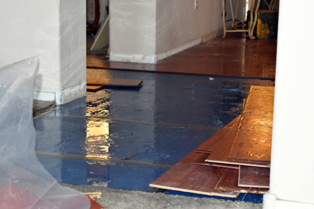 Professional Water Extraction technician working in Orange, CA